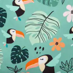 Toucans