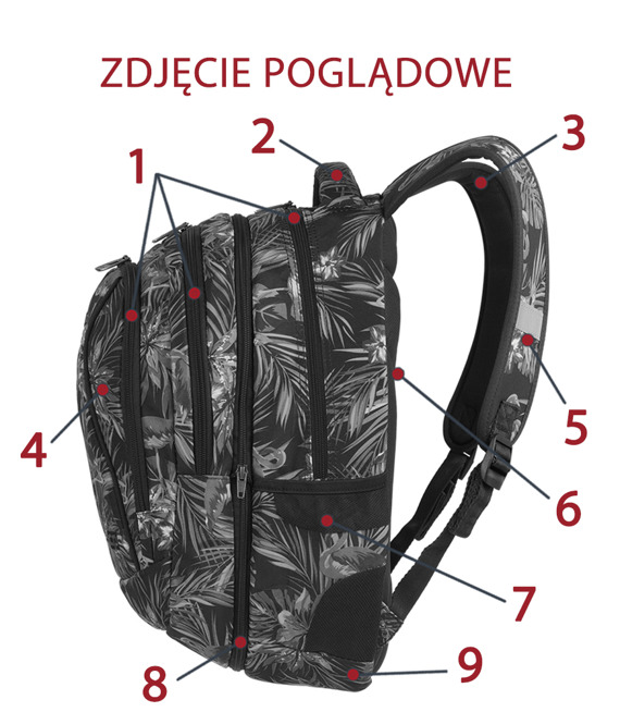 Plecak szkolny Coolpack Combo Verdure 76944CP nr 625