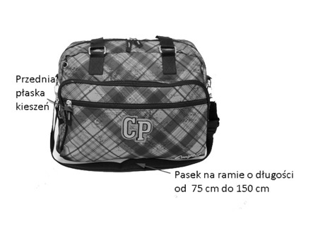 Travel bag Coolpack Smart Rubin 46787CP No. 109