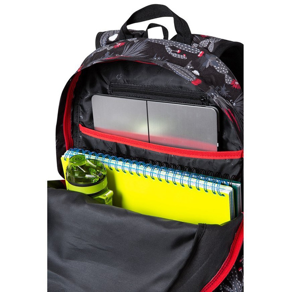 Plecak szkolny Coolpack Discovery Gringo 77325CP C38254