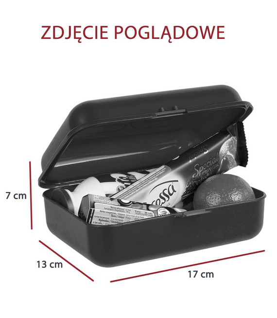 Śniadaniówka Coolpack FROZEN 93521CP pink